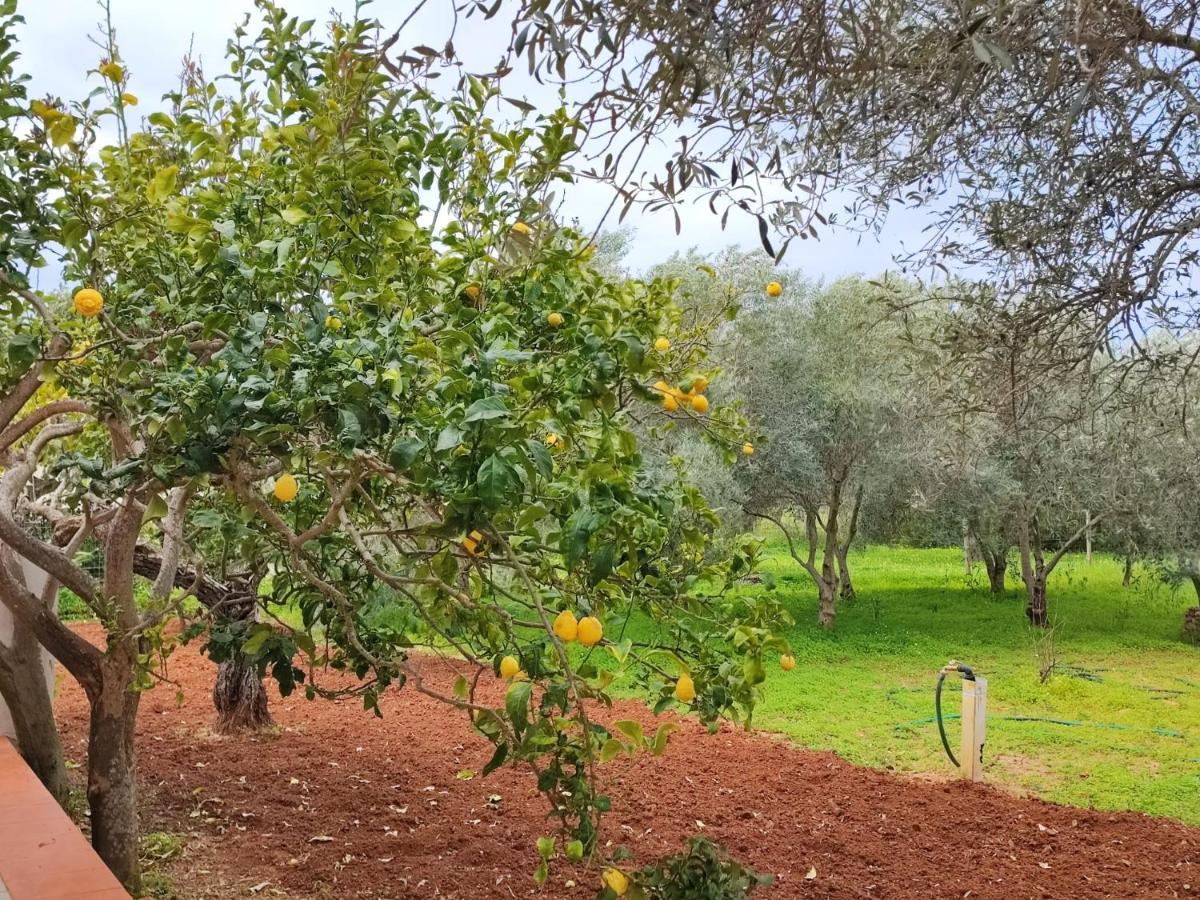 Casa Vacanze Da Nonna Mela 알게로 외부 사진